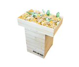 Imagen del producto - Balones de fútbol de chocolat con leche 100g display