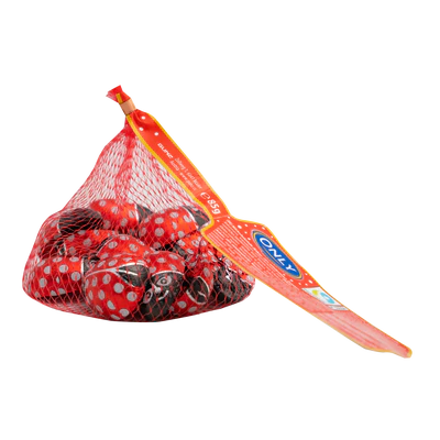 Immagine prodotto 1 - Coccinelle di cioccolato al latte con ripieno di crema al latte 85g