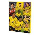 Produktabbildung 1 - BVB Adventskalender Premium 180g