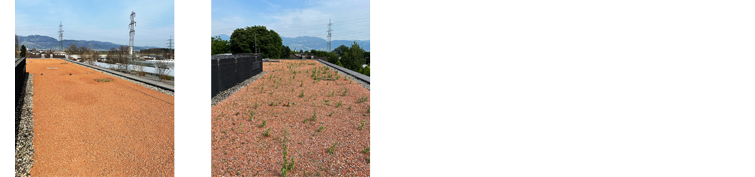 POSITIVO PER LA NATURA E PER NOI