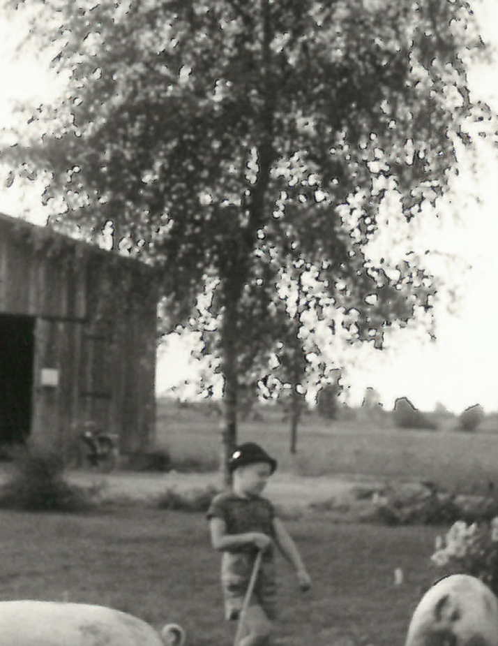 Foto en blanco y negro de un ni&ntilde;o en una granja con cerdos, &aacute;rboles, un parterre de flores y edificios agr&iacute;colas al fondo.