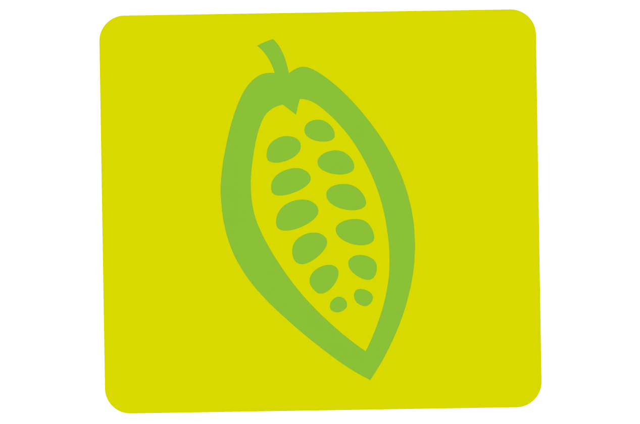 Gr&uuml;ne Kakaoschote auf gelbem Hintergrund