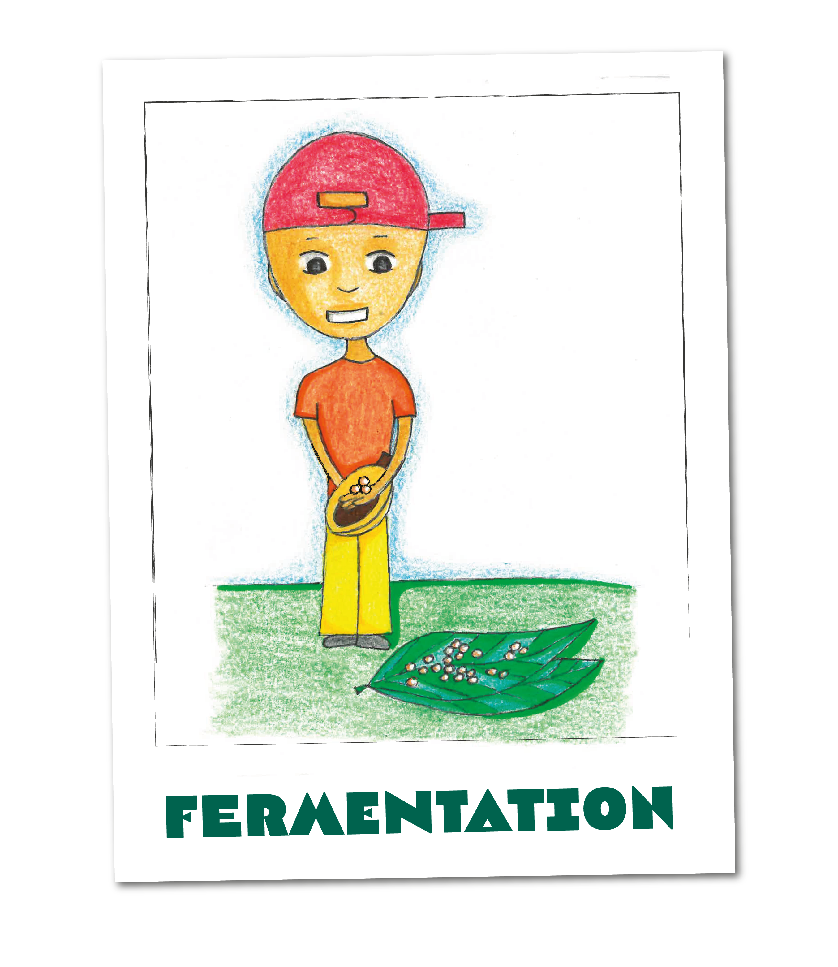 Juli mit Kakaobohnen zur Fermentation