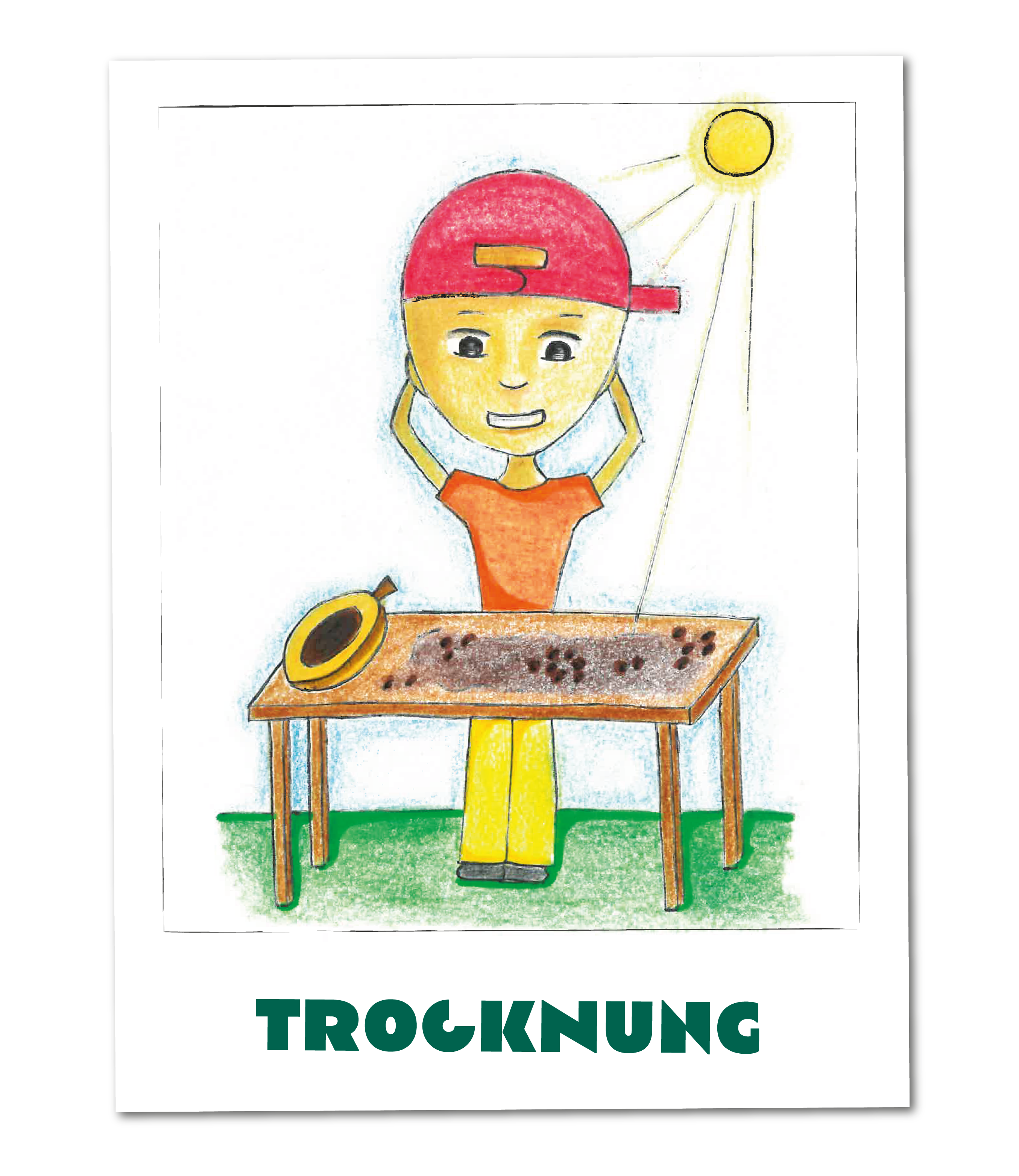 Juli trocknet Kakaobohnen in der Sonne