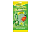 Рисунок продукта 1 - Apple flavoured candy with sugar coating 80g