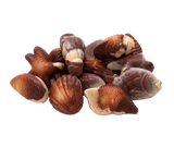 Рисунок продукта 3 - Pralines sea shells 250g